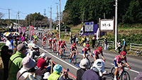 サイクルスポーツ・ロードレース写真